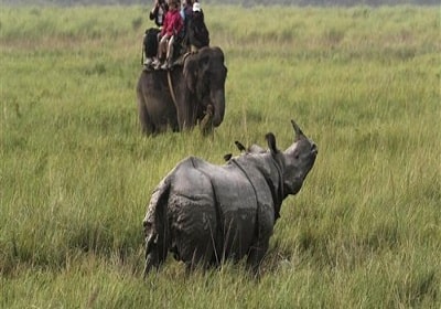 kaziranga-national park