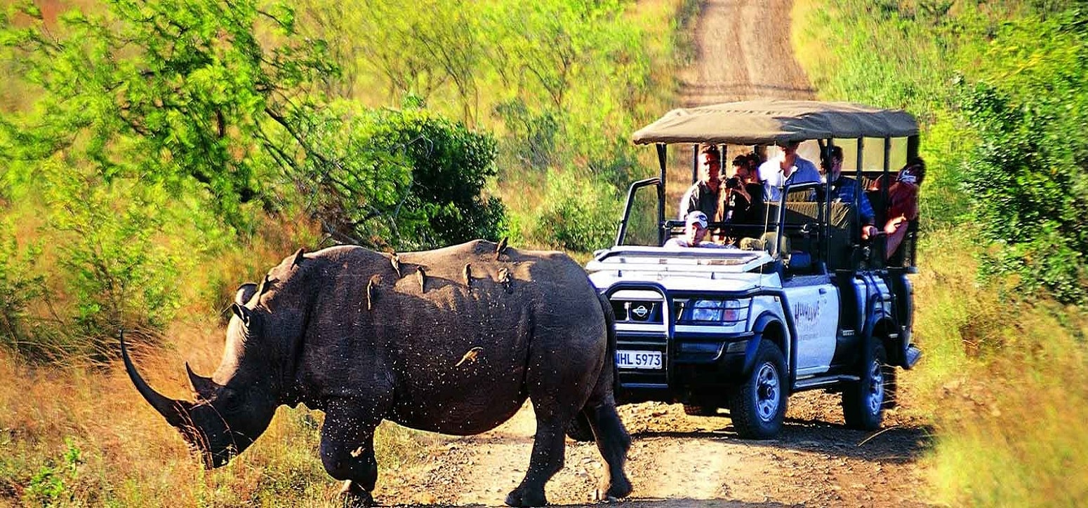 kaziranga national park