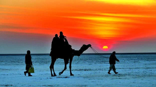 kutch desert Tours