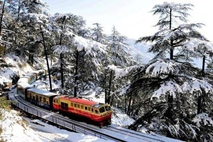 shimla tour