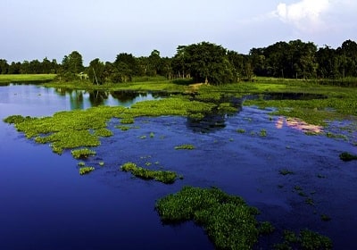 majuli-island