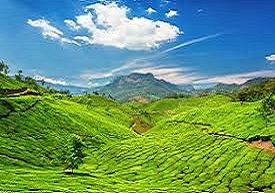 Munnar hill station