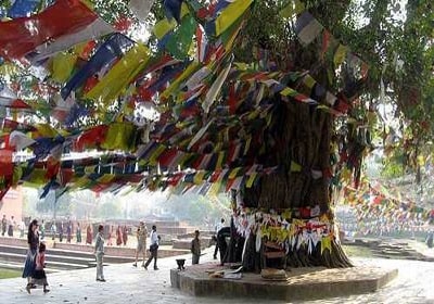 Buddhist Pilgrimage tour