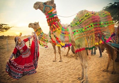 rajasthan tour